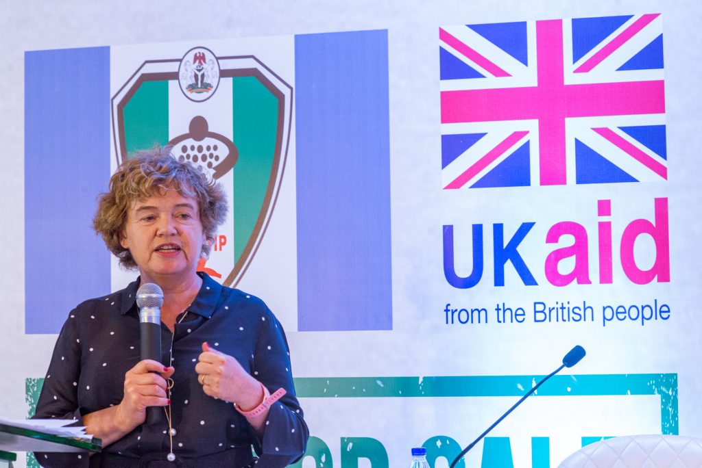 SHE 6010Catriona Laing British High Commissioner in Nig delivering her speech 1024x684 b6bc2651